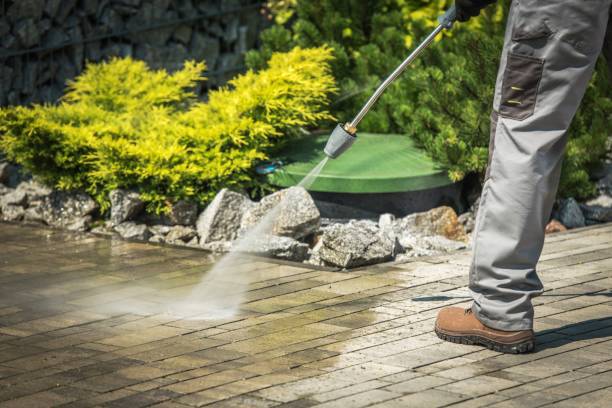 Best Soft Washing  in Riverside, PA